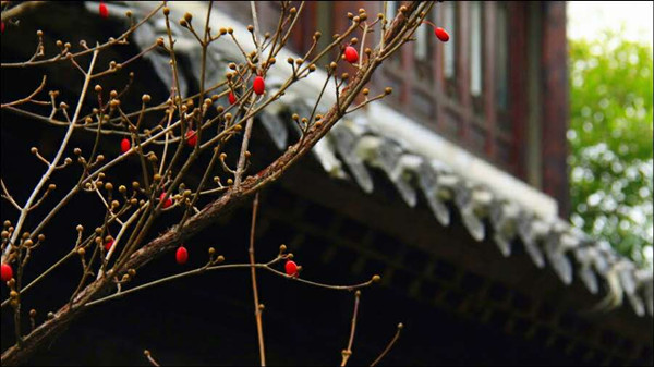方福樂(lè)攝影作品欣賞（三）