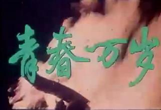 王蒙《青春萬(wàn)歲》賞析