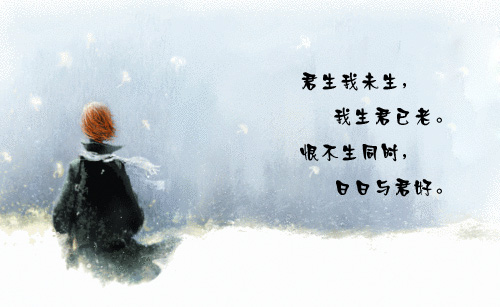 《君生我未生，我生君已老》賞析