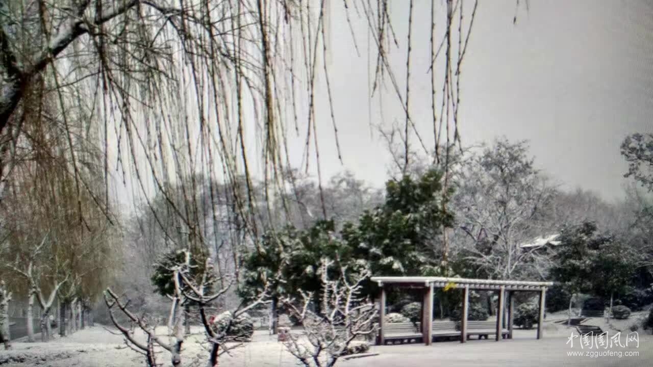 春雪  文/吳忠芹