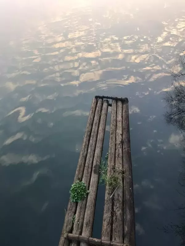 清晨，我在這里等你