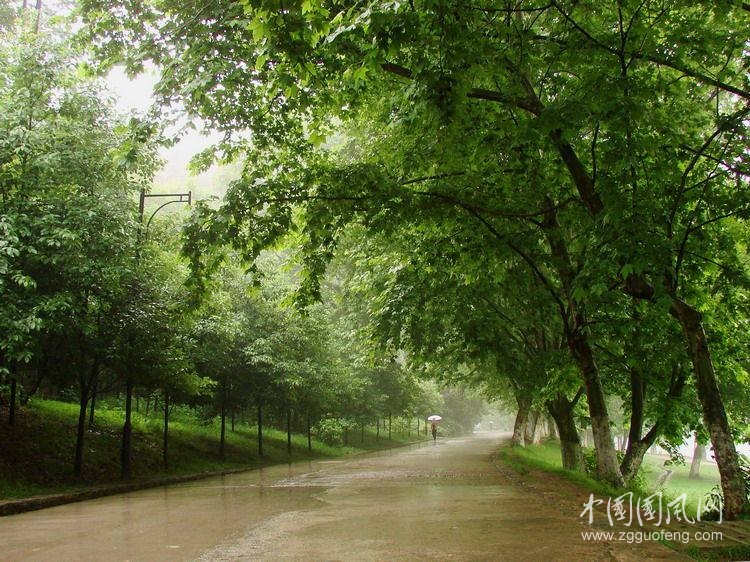 聽雨_季羨林散文