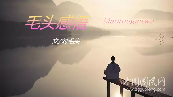 毛頭感悟（文/  劉毛頭）