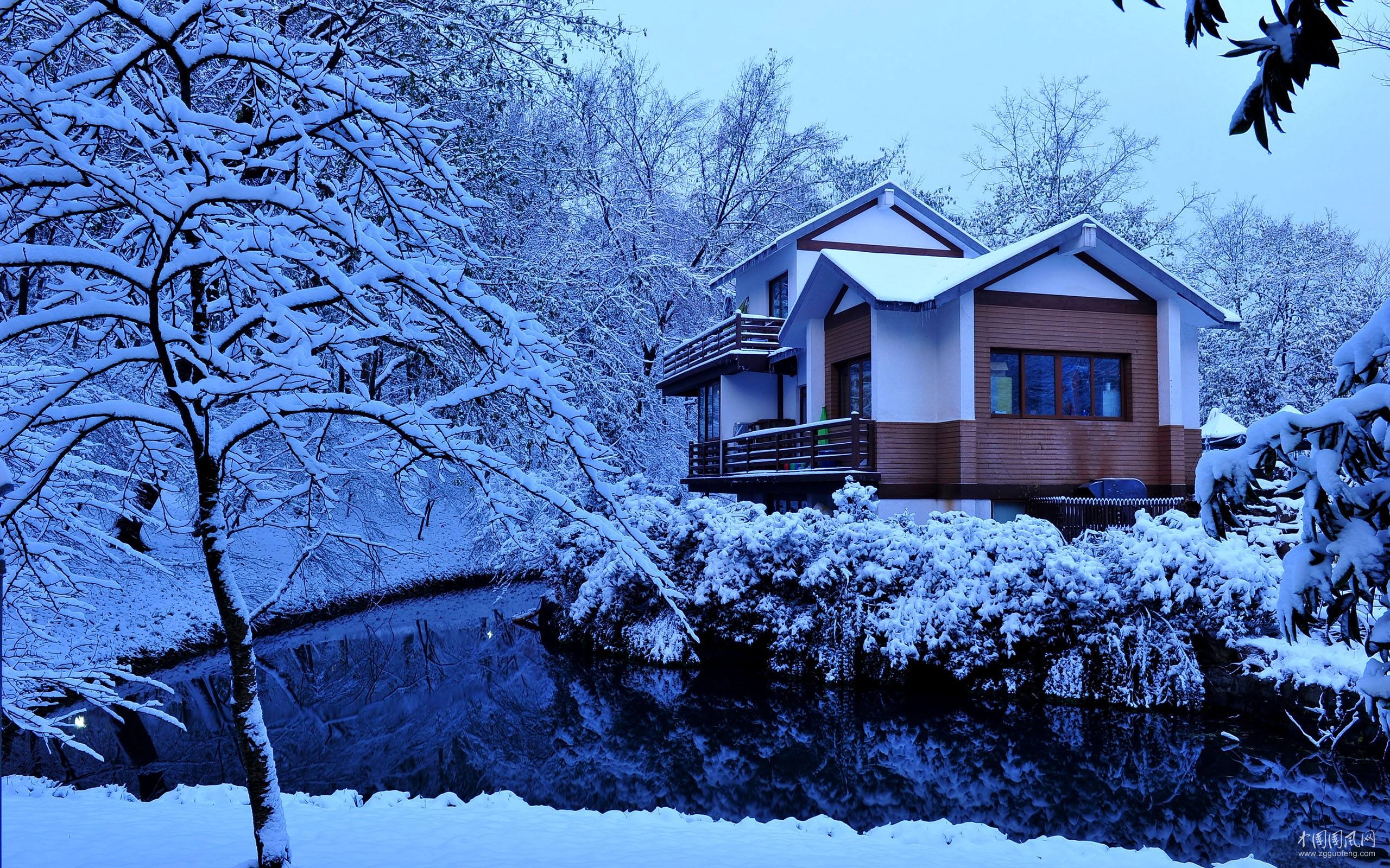小雪    文/龔佳