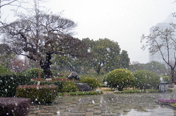 可愛的小雪花
