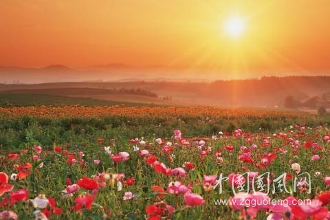 我在春風(fēng)里歌唱