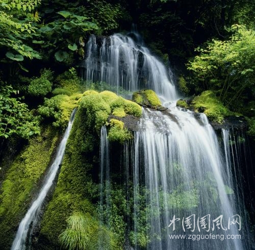 保持人間愛的純潔