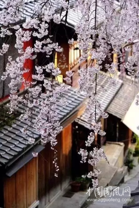《我送給愛妻的生日禮物》