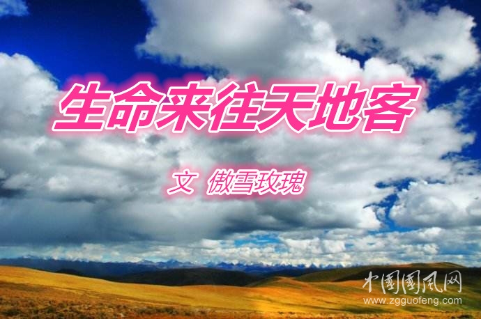 生命來(lái)往天地客（文： 傲雪玫瑰）