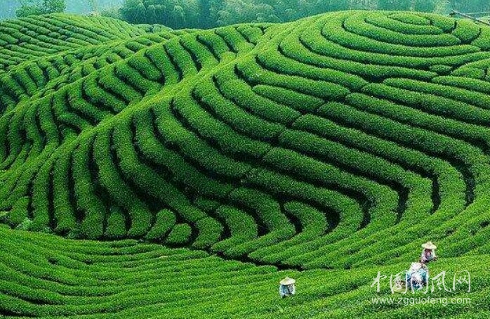 這樣便好