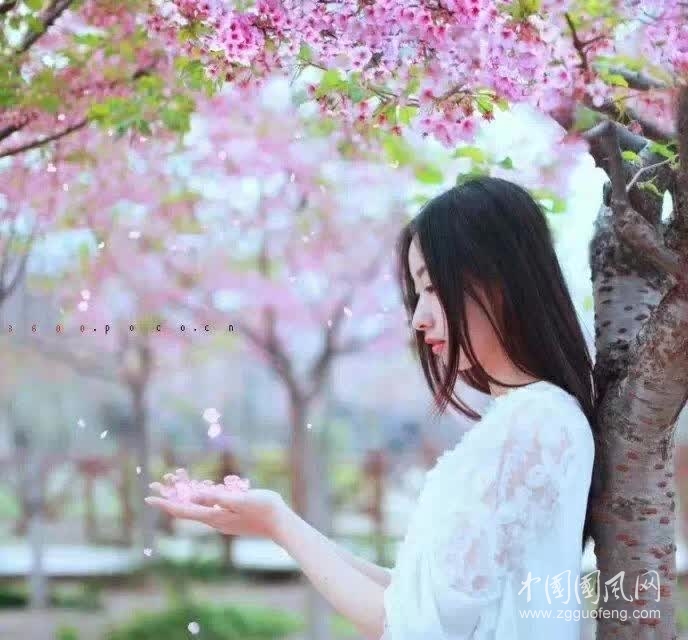 千 年 之 吻