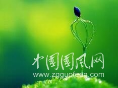 便條