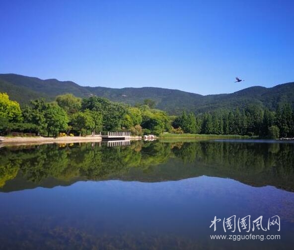 夏之韻