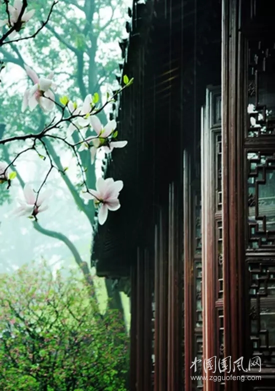 （小雨絲334）臨窗的樹    文／陳金茂