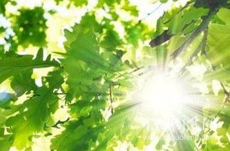 天氣的預(yù)報(bào)