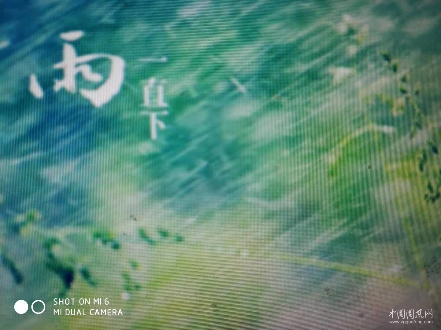     淋  雨     文/吳忠芹