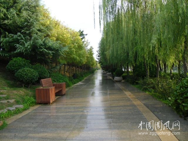 《驕陽下的噴淋水》         文/青春鳥