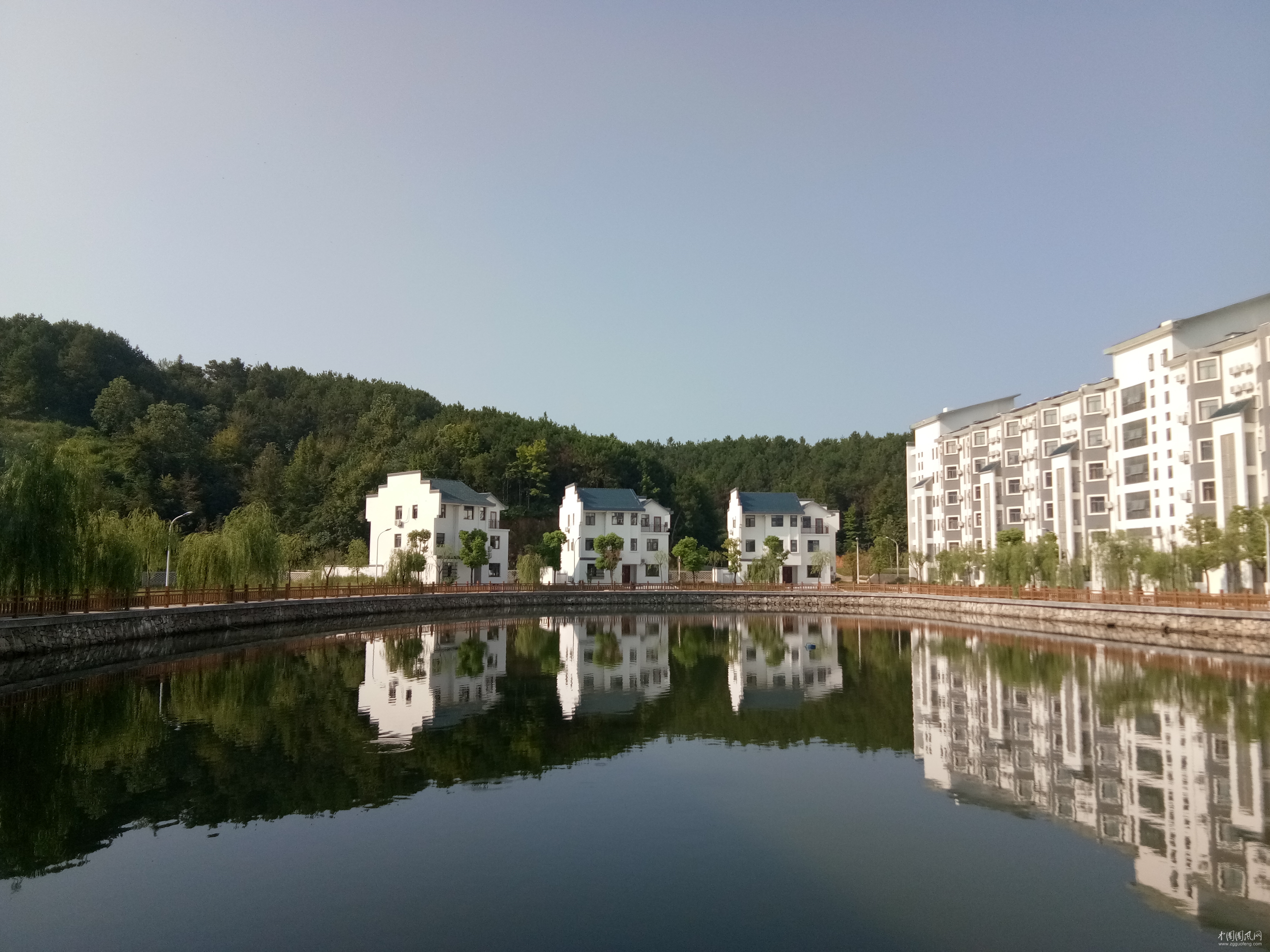IMG_20180810_082859.jpg