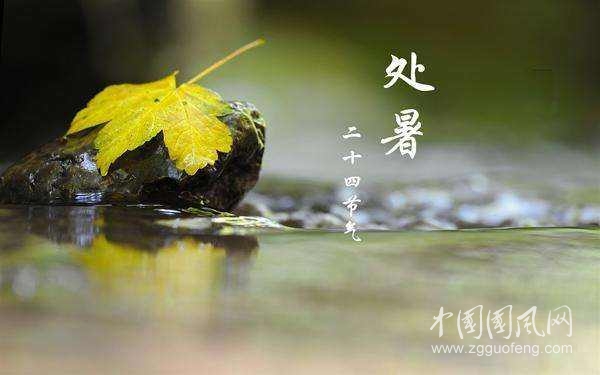 《處暑嚇跑了秋老虎》          文/青春鳥