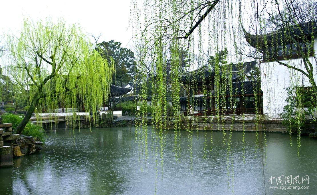 （小雨絲352）宮墻柳    文／陳金茂〔美國(guó)〕