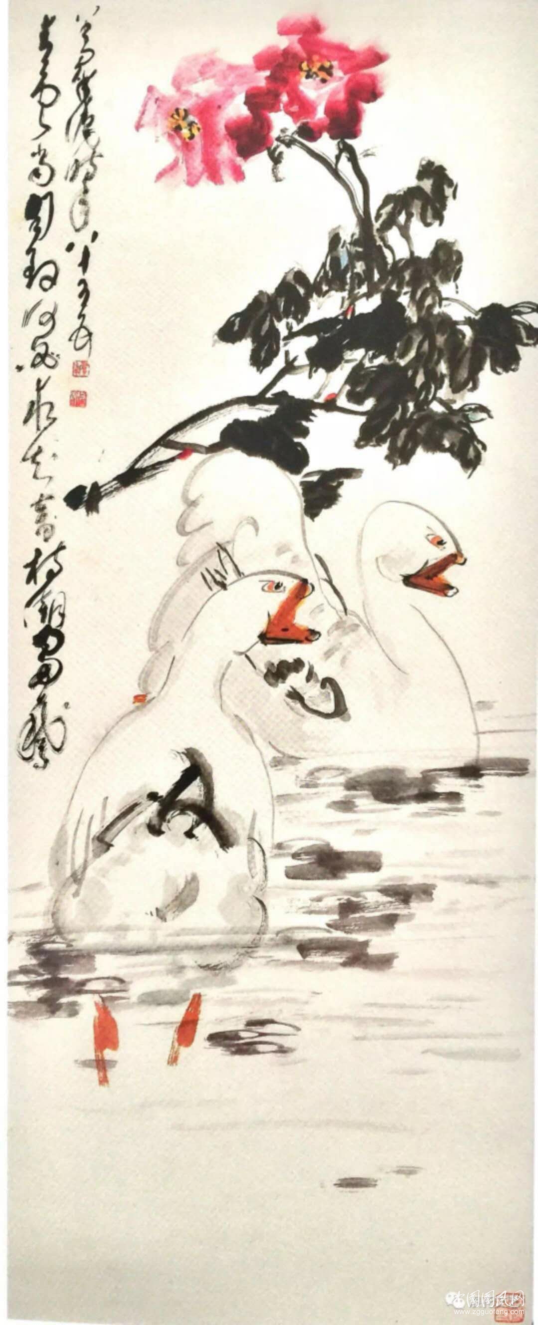 牡丹芳菲伴友開    文/張晴