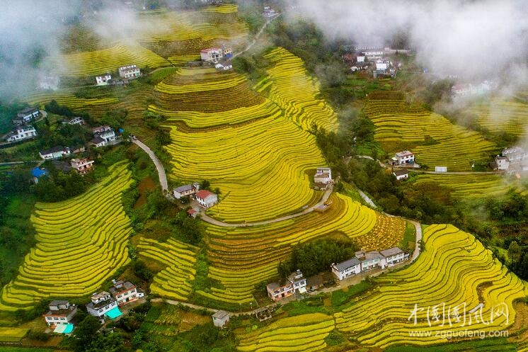 豐收的景