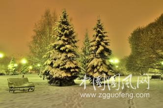 與冬相擁  文/張晴
