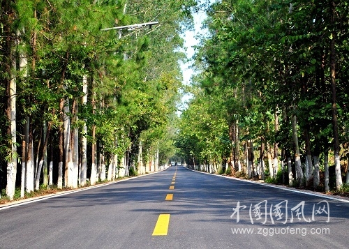 生命的道路    文/張超我