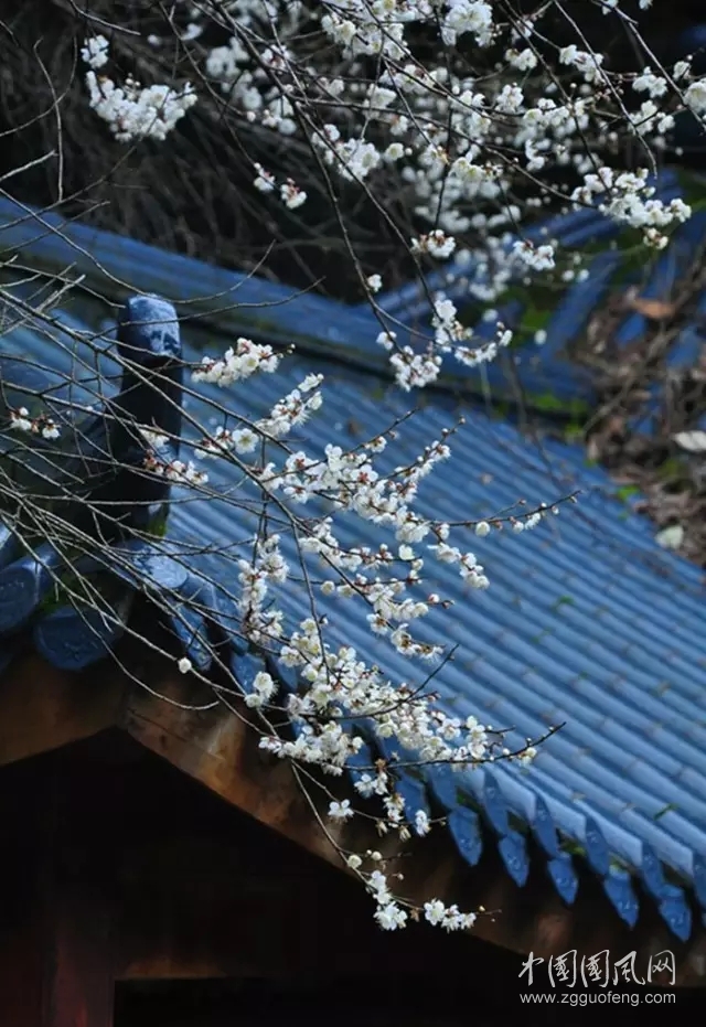 《今天的太陽沒有出來》        文/青春鳥