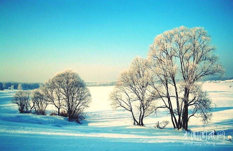 雪  （文/吳忠芹）