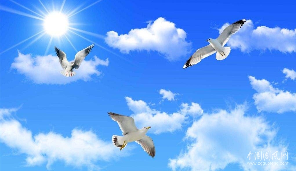 《悄悄的離去》     （文/青春鳥）