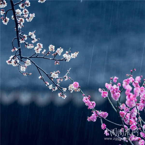 我與她    （文/悟色）