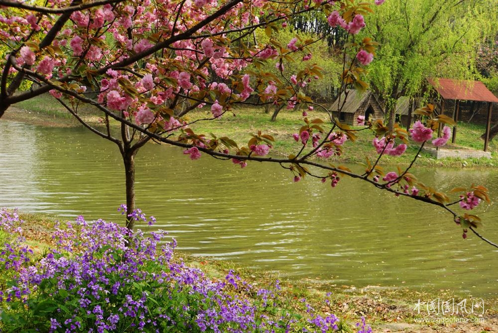 花 木 葳 蕤 的 地 方    （文  張超我）