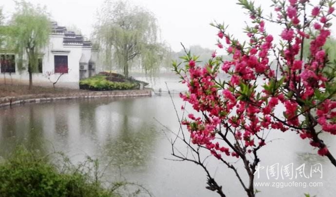 雨思    （文/張超我）