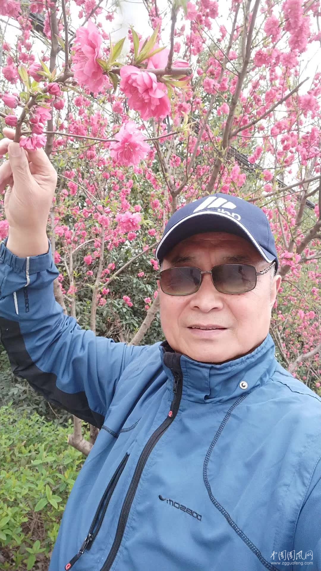 合肥三十崗桃花節(jié)  （文  吳忠芹）