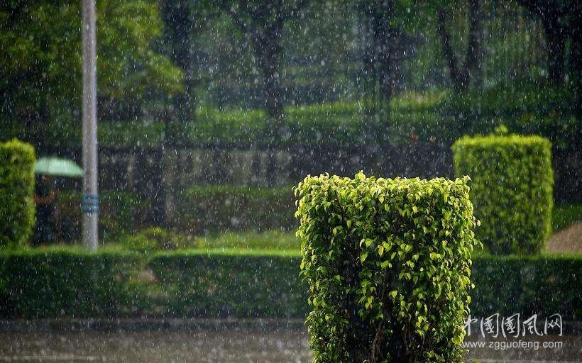 關(guān)于雨的思考    （文/張超我）
