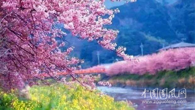 《春天的味道》       文/青春鳥