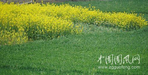 微信圖片_20190505083528.png