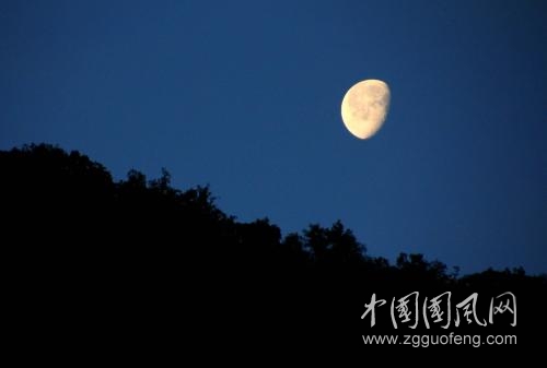 月亮爬上來了  文/青春鳥(新疆)