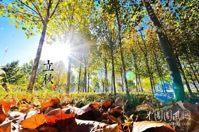 立秋是個豐腴的美女  文/青春鳥(新疆)